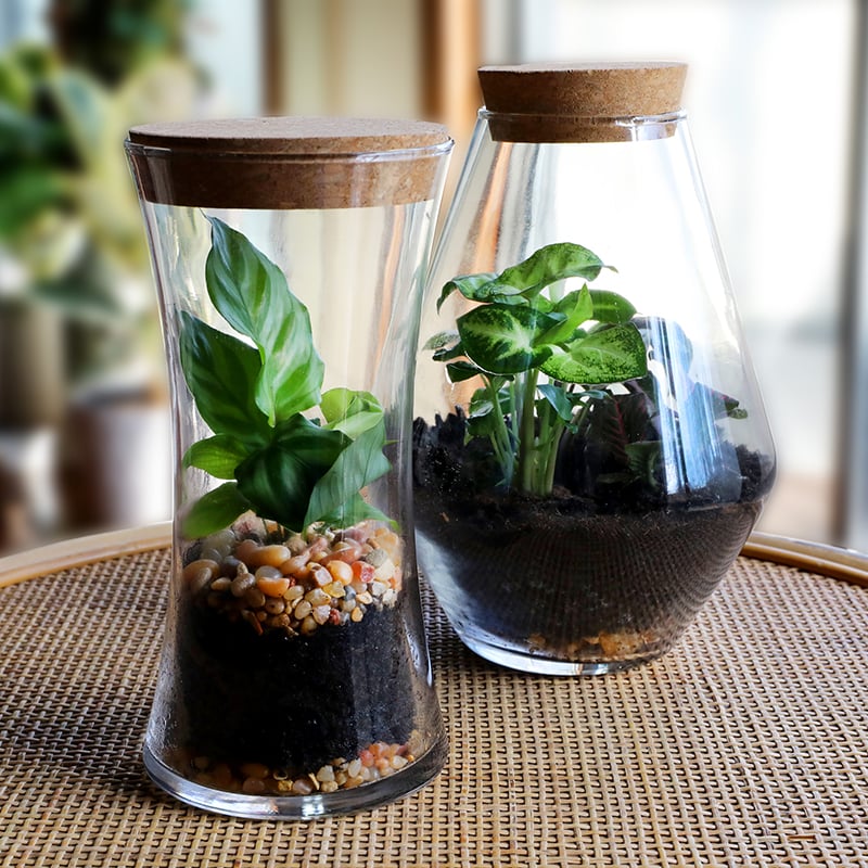 Collections_Thumbnail_Living_Layers_800_x_800