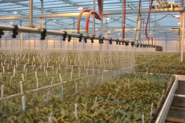 LowRes_NoBackground-DSC_0467