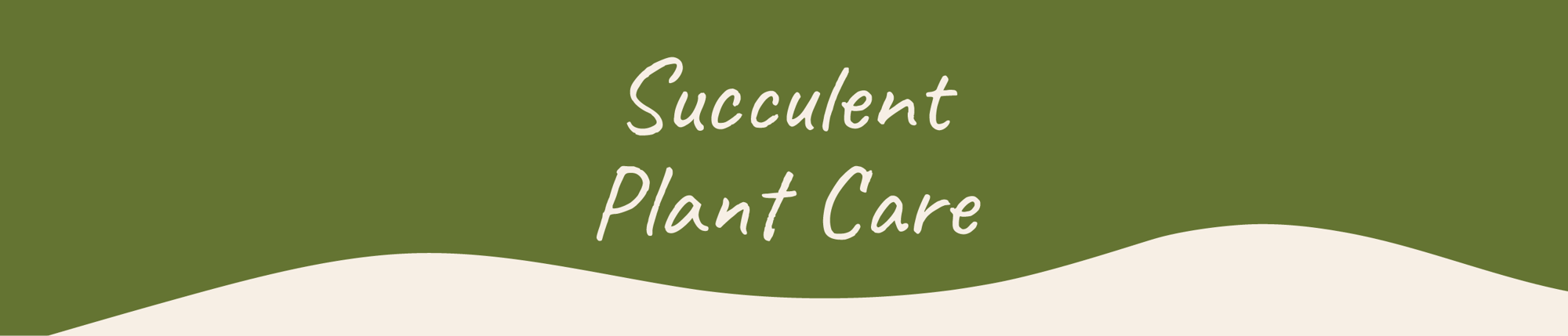 Succulent Plant Care Page