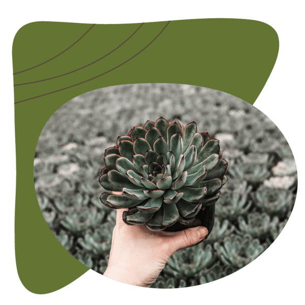 Website_Graphic__Our-Company-top Website_Graphic__Our-Company-top