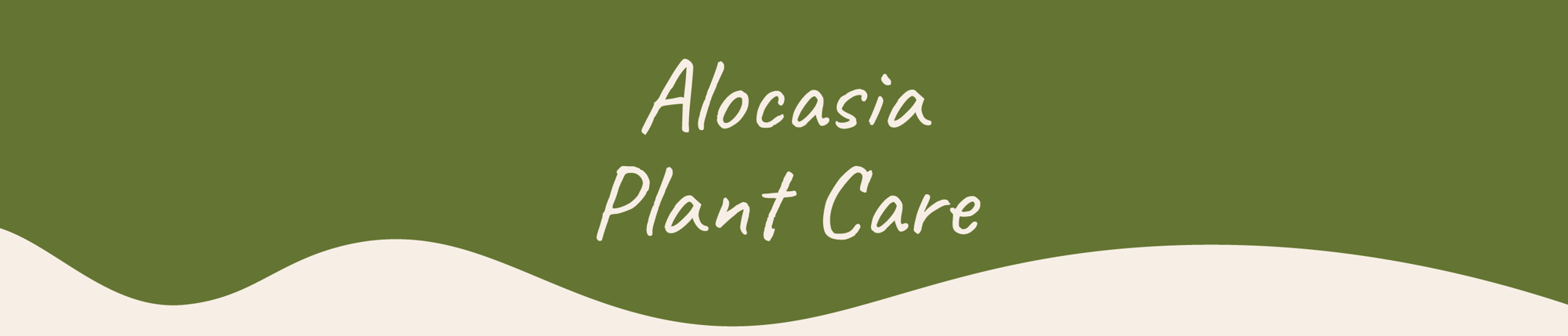 Website_Graphic__Plant_Care_Header_Alocasia (1)