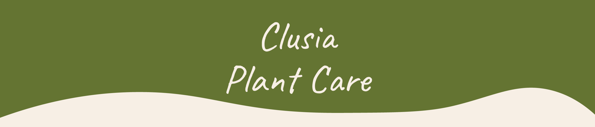 Website_Graphic__Plant_Care_Header_Clusia-Rosea-1