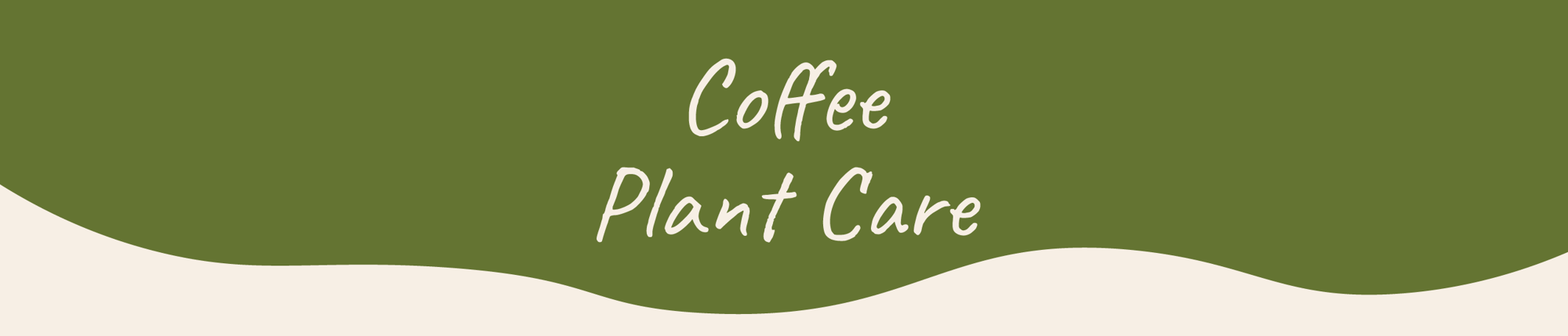 Website_Graphic__Plant_Care_Header_Coffee-Arabica