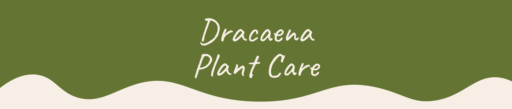 Website_Graphic__Plant_Care_Header_Dracaena