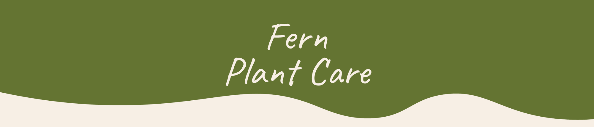 Website_Graphic__Plant_Care_Header_Fern