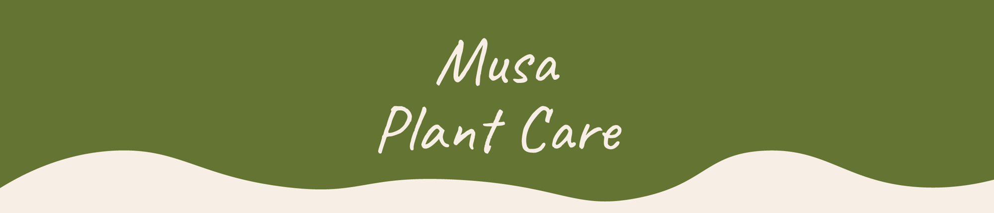 Website_Graphic__Plant_Care_Header_Musa-Tropicana-1