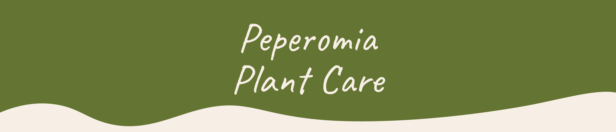 Website_Graphic__Plant_Care_Header_Peperomia (1)