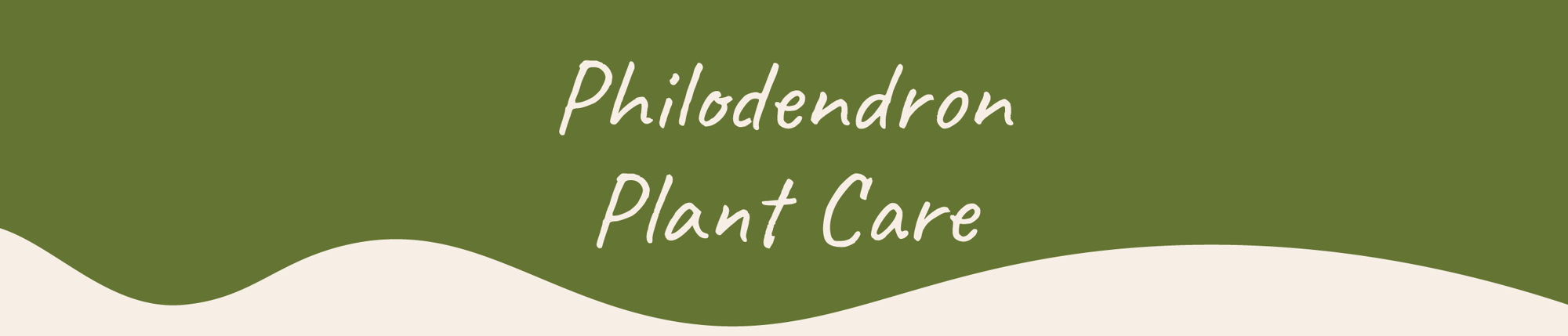 Website_Graphic__Plant_Care_Header_Philodendron