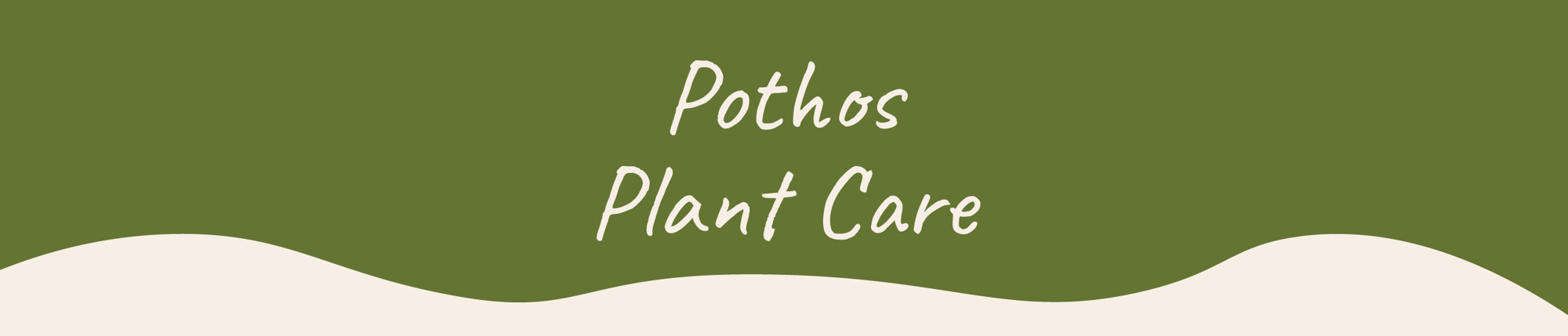 Website_Graphic__Plant_Care_Header_Pothos
