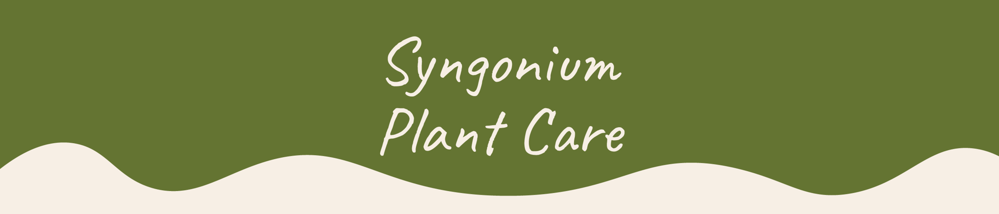 Website_Graphic__Plant_Care_Header_Syngonium Website_Graphic__Plant_Care_Header_Syngonium