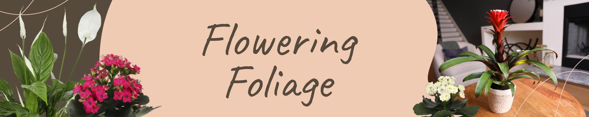 Flowering Foliage Header Flowering Foliage Header