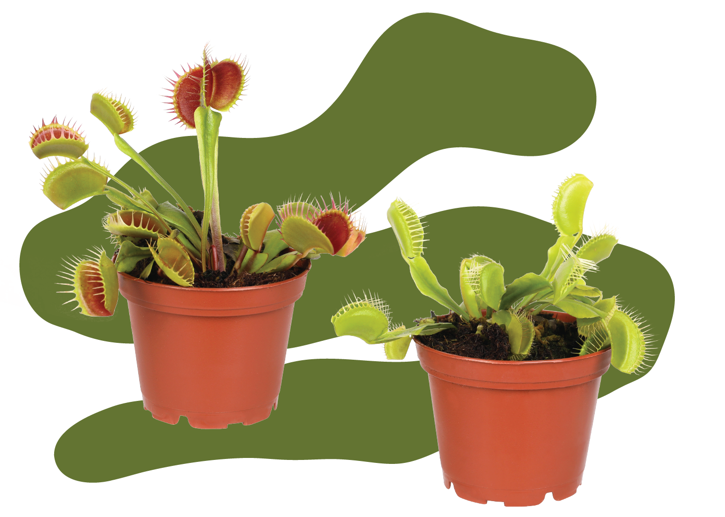 VFT-Callout VFT-Callout