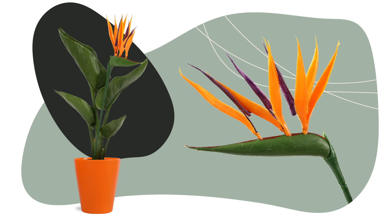 bird of paradise faux bloom