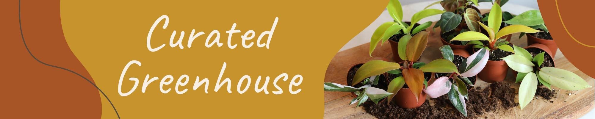 Website_Graphic_Curated Greenhouse Header 2000x400