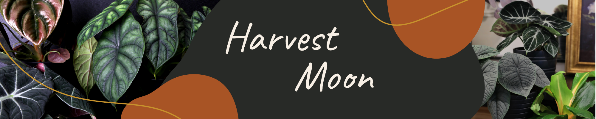 Website_Graphic_Harvest_Moon Website_Graphic_Harvest_Moon