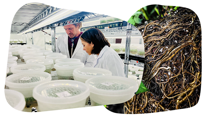 Website_Graphic_Innovation