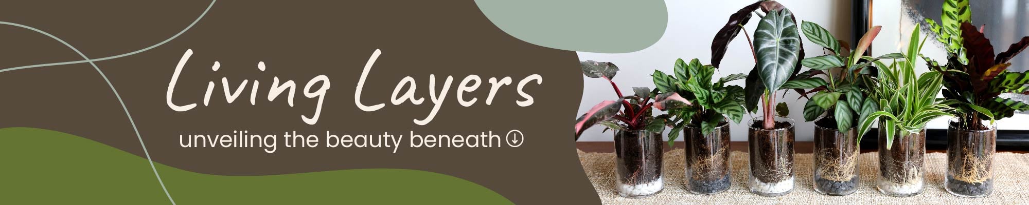 Website_Graphic_Living Layers Header 2000x400