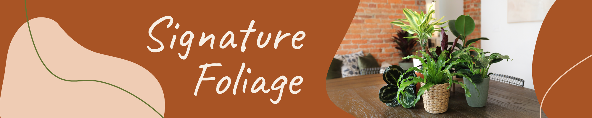 Website_Graphic_Signature_Foliage_Header