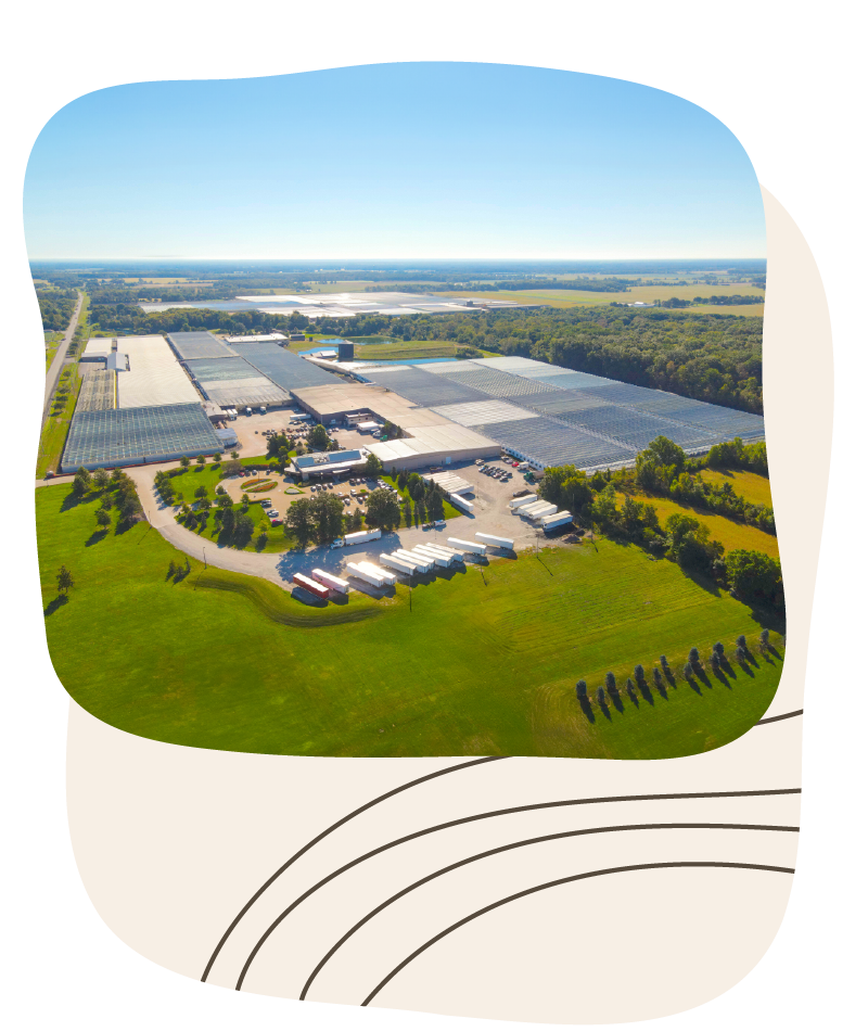 Website_Graphic__Our-Company-Bottom Website_Graphic__Our-Company-Bottom