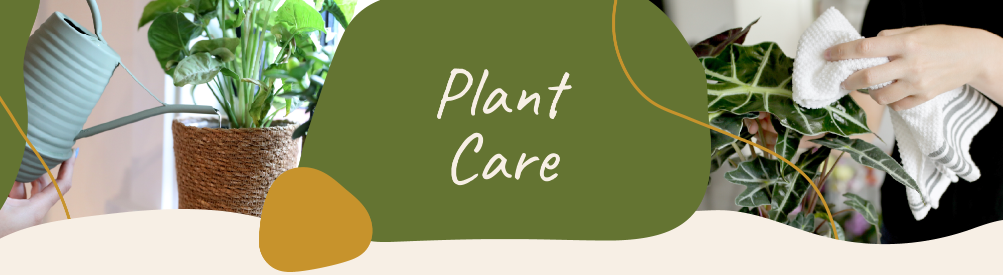 Website_Graphic_template_Plant-Care_V4
